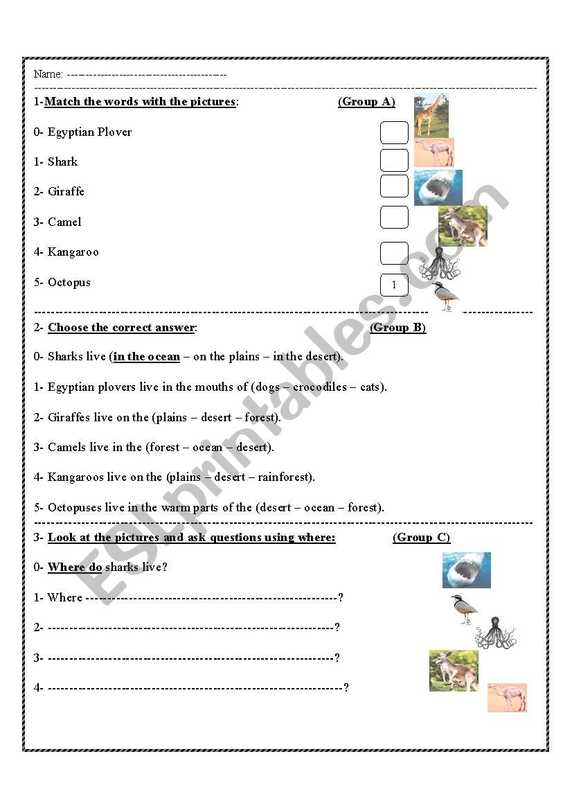 animals worksheet