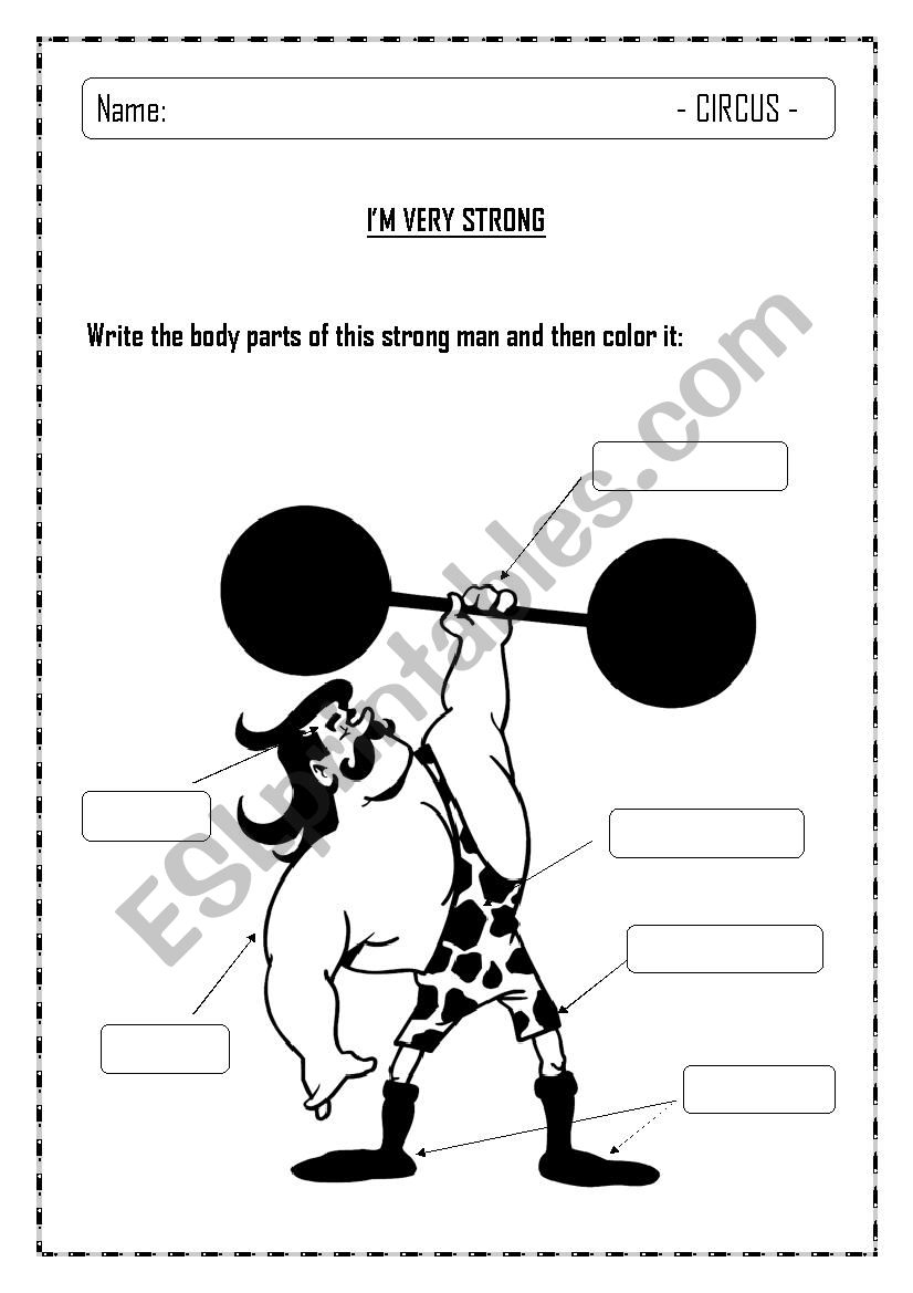 Body parts of a strong man worksheet