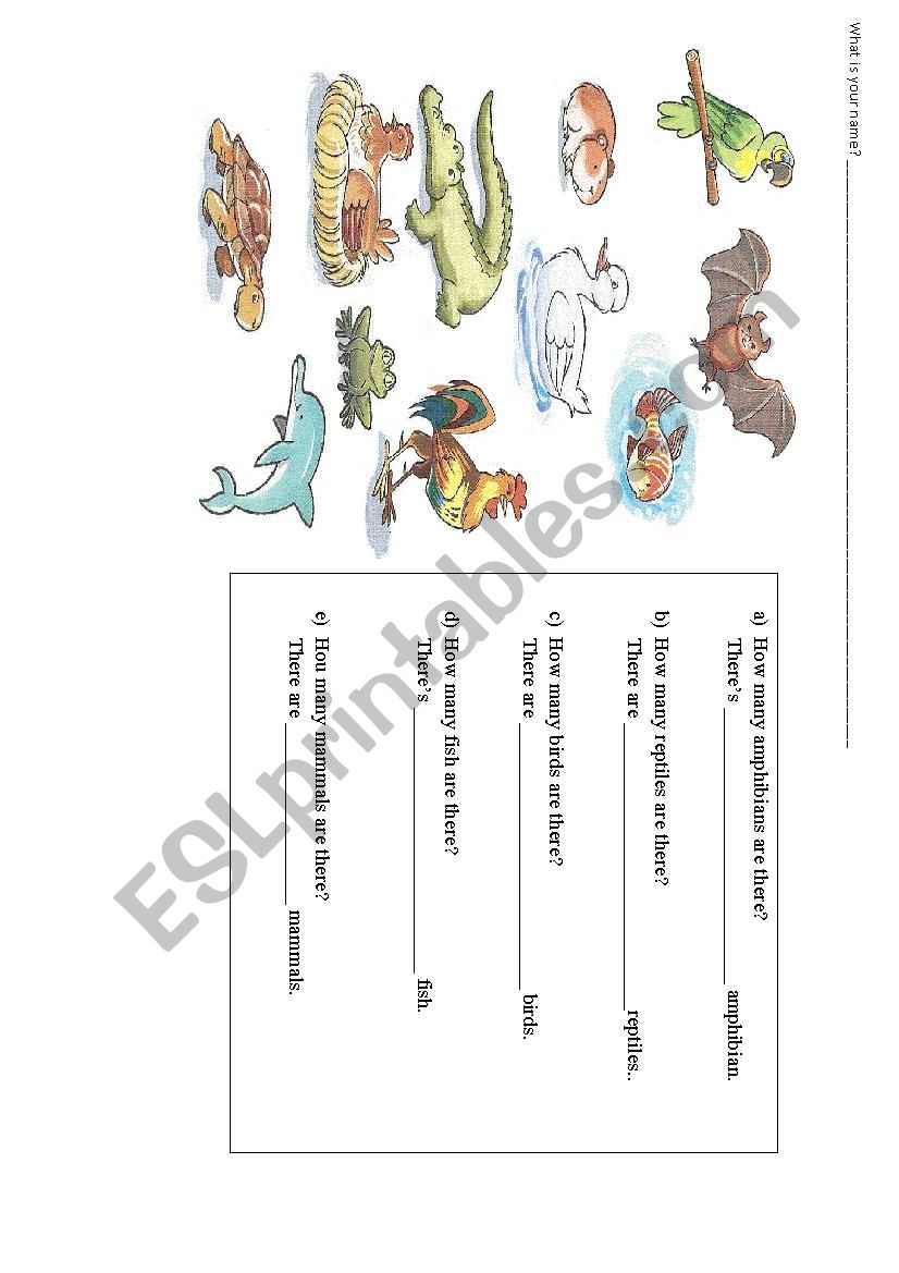 Animals worksheet