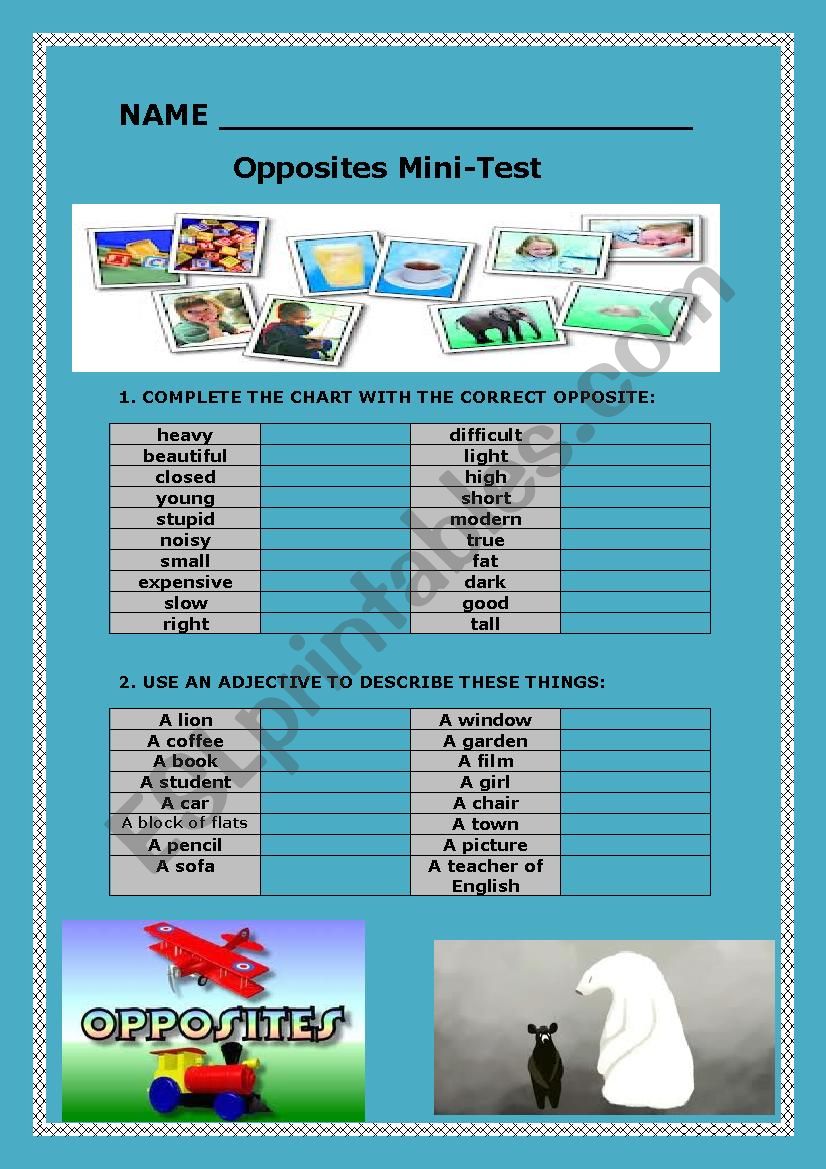 Opposites and common adjectives Test