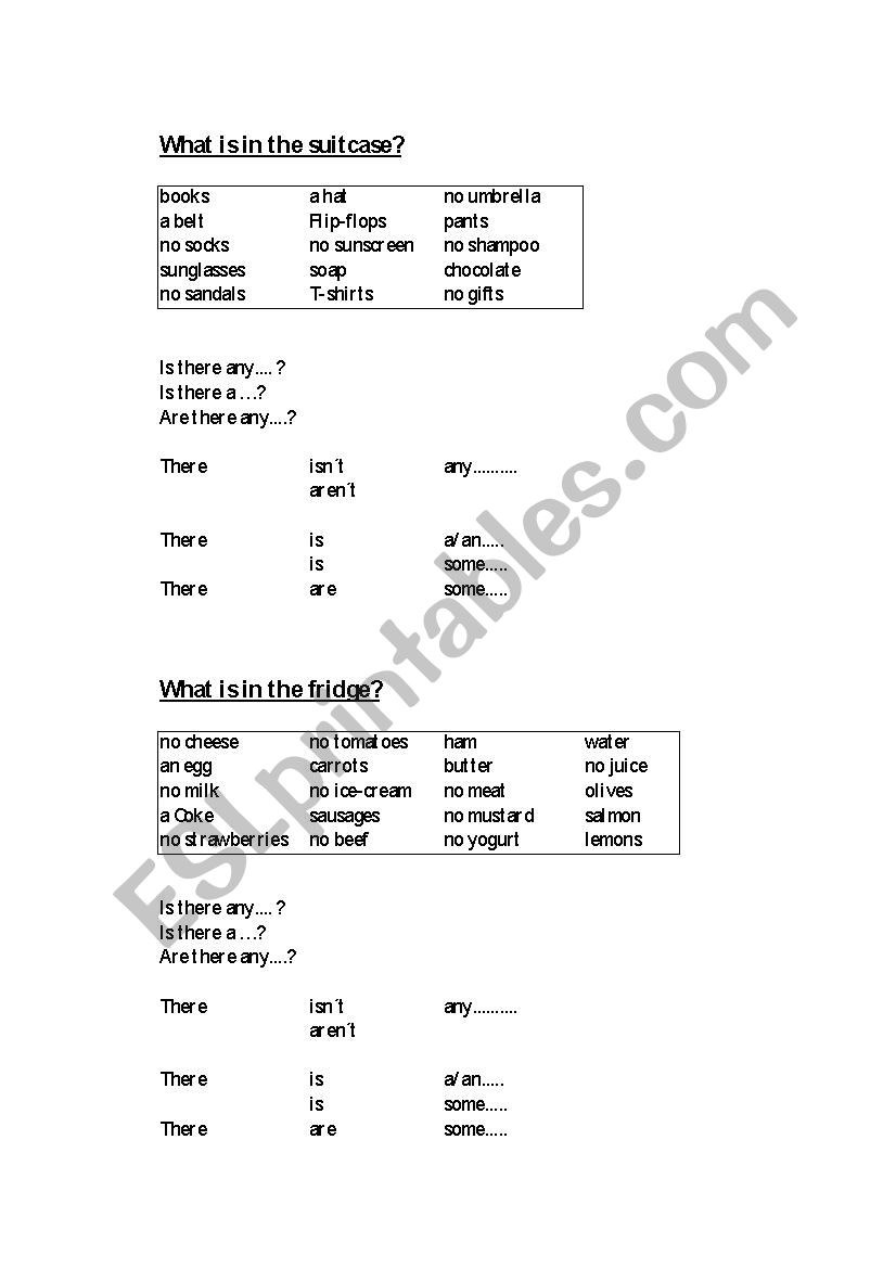 What is in the suitcase? worksheet