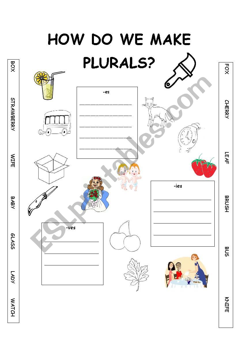PLURALS worksheet