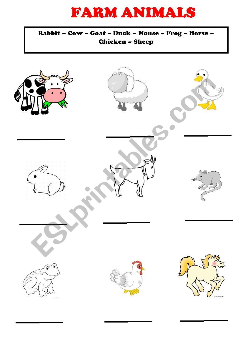 FARM ANIMALS worksheet