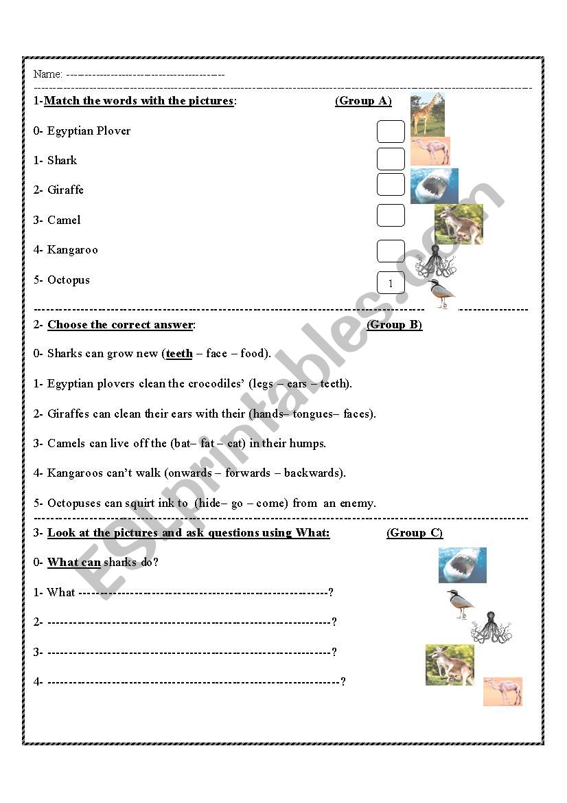 animals worksheet