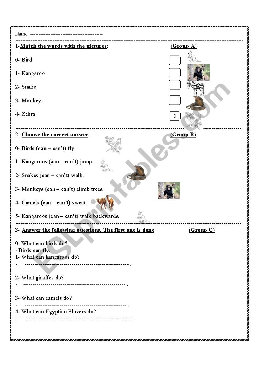 animals worksheet