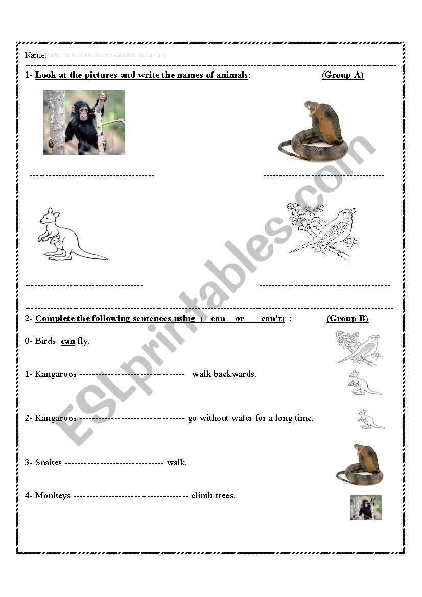 animals worksheet