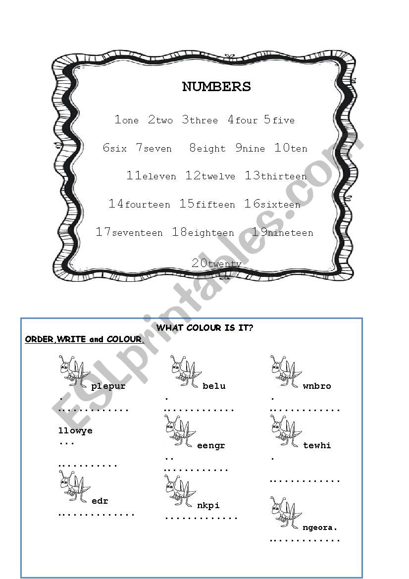 NUMBERS AND COLOURS worksheet