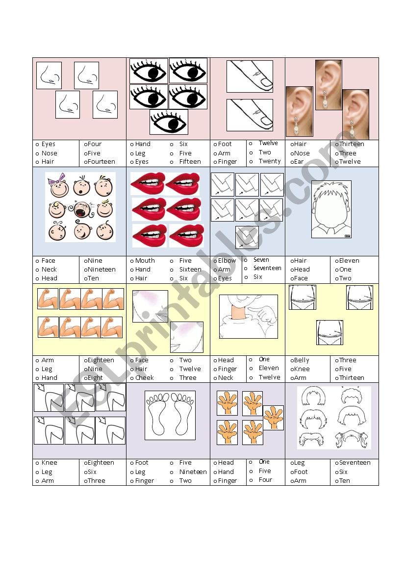 Human Body and Number worksheet