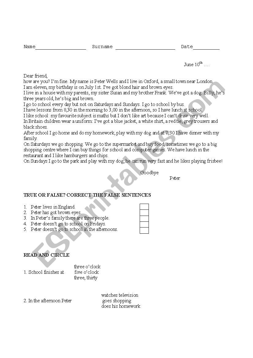 test: a letter from Peter worksheet