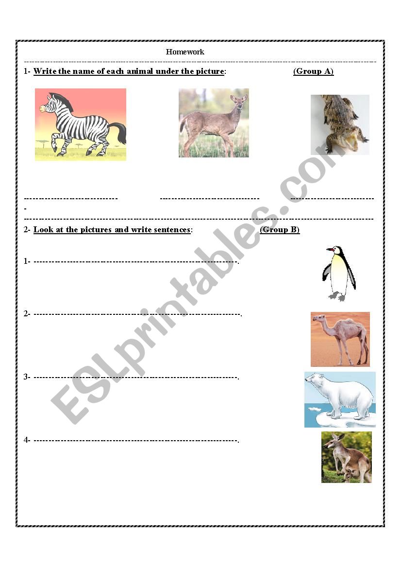 animals worksheet