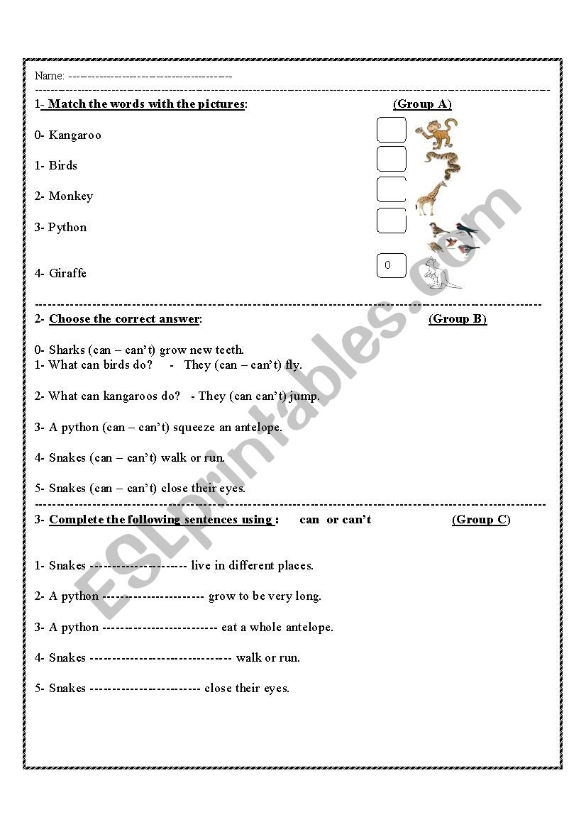 animals worksheet