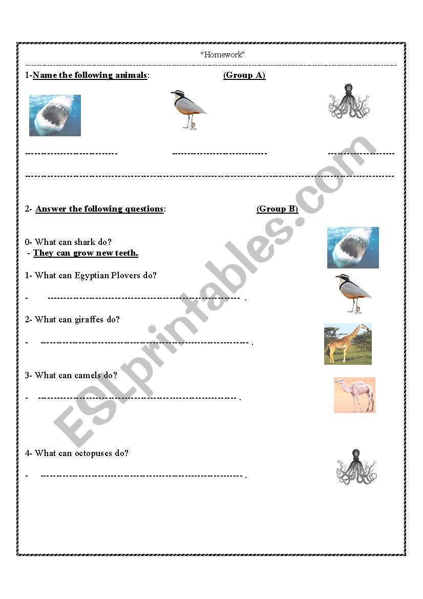 animals worksheet