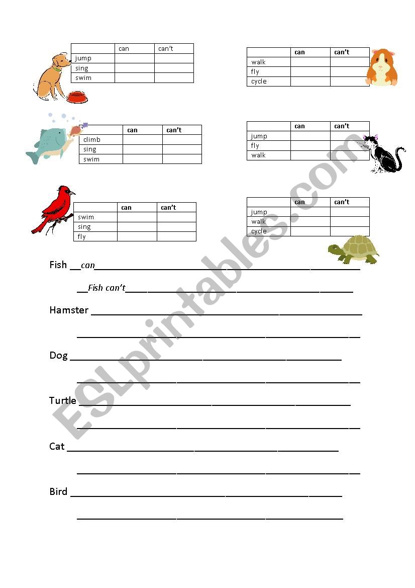 Can  worksheet