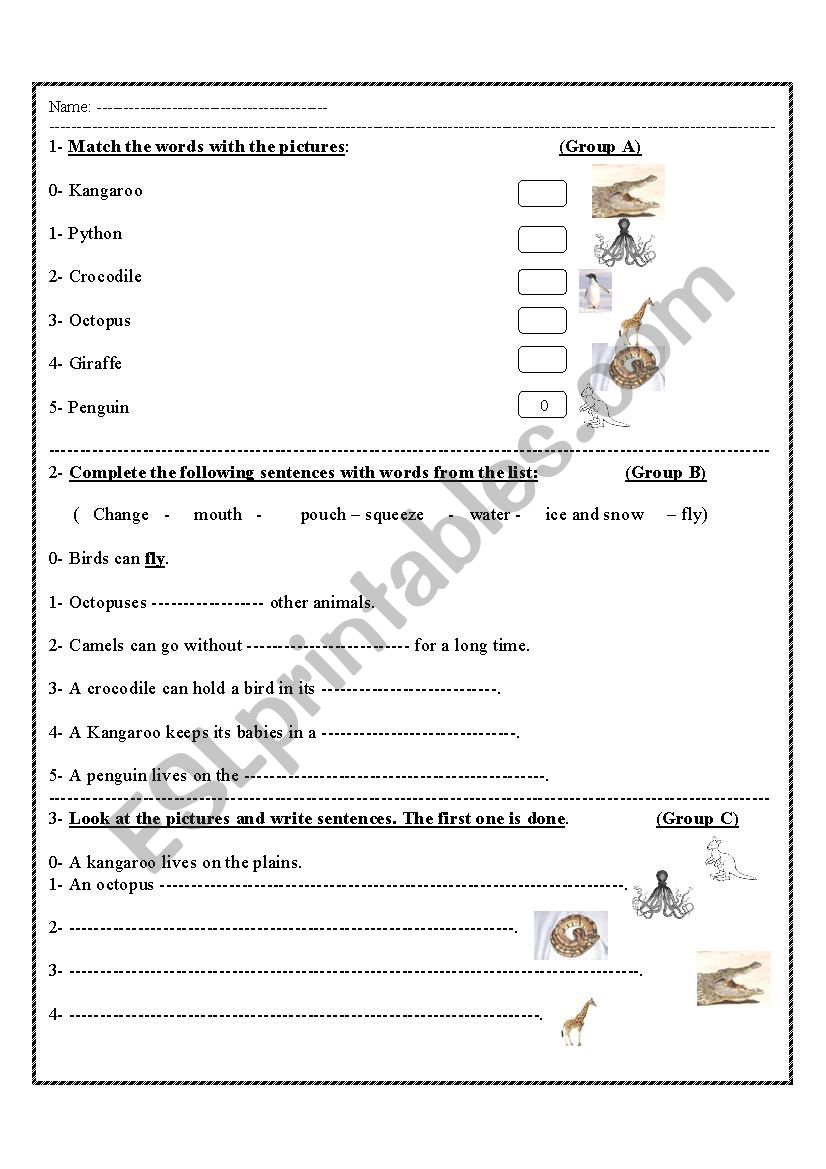 animals worksheet