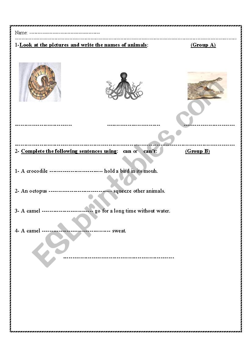 animals worksheet