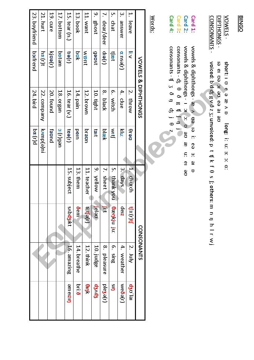 Fun Phonemic Bingo worksheet