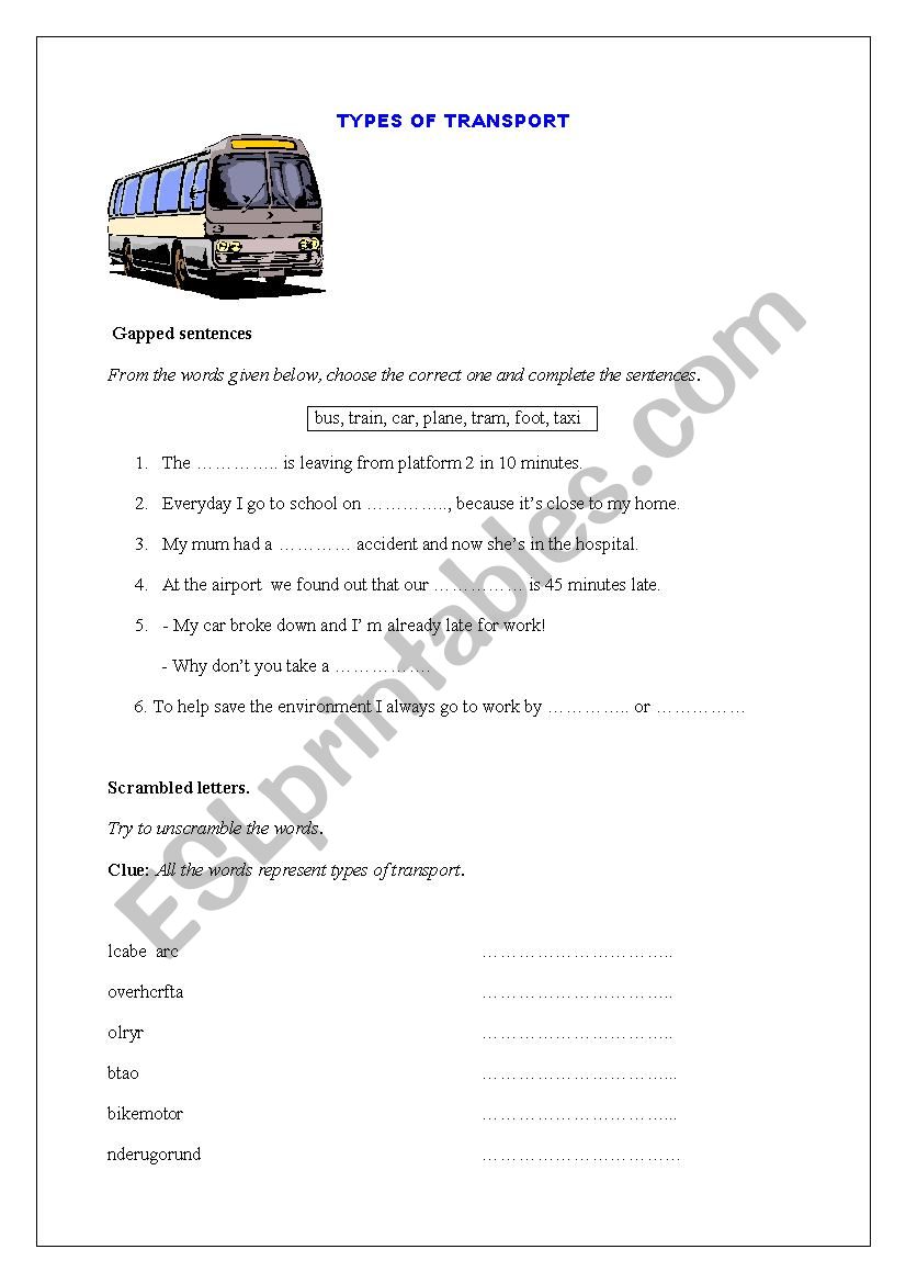 Types of transport worksheet