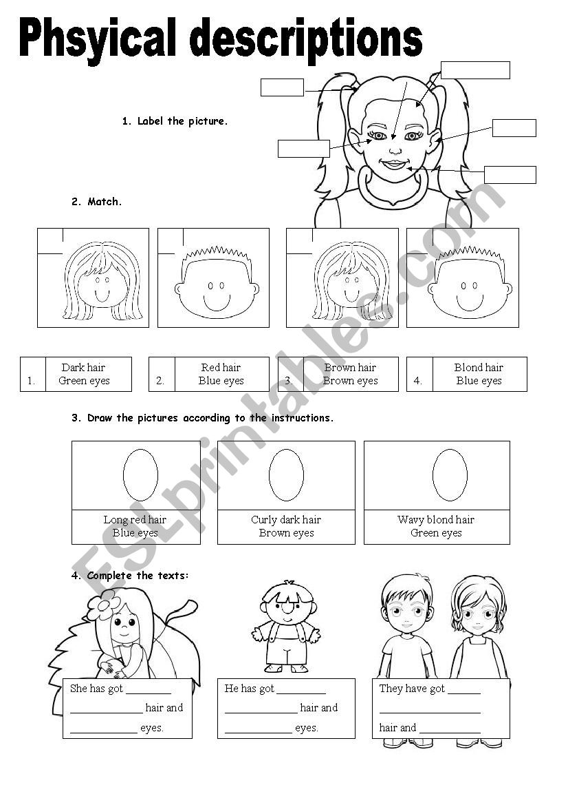 Physical descriptions worksheet