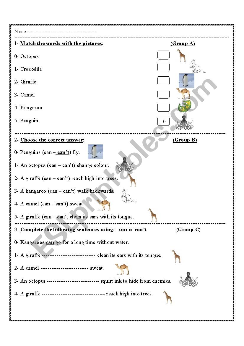 animals worksheet