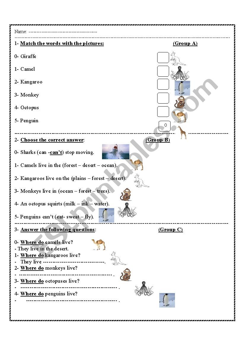 animals worksheet