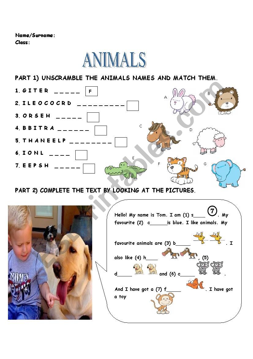 ANIMALS, PETS worksheet