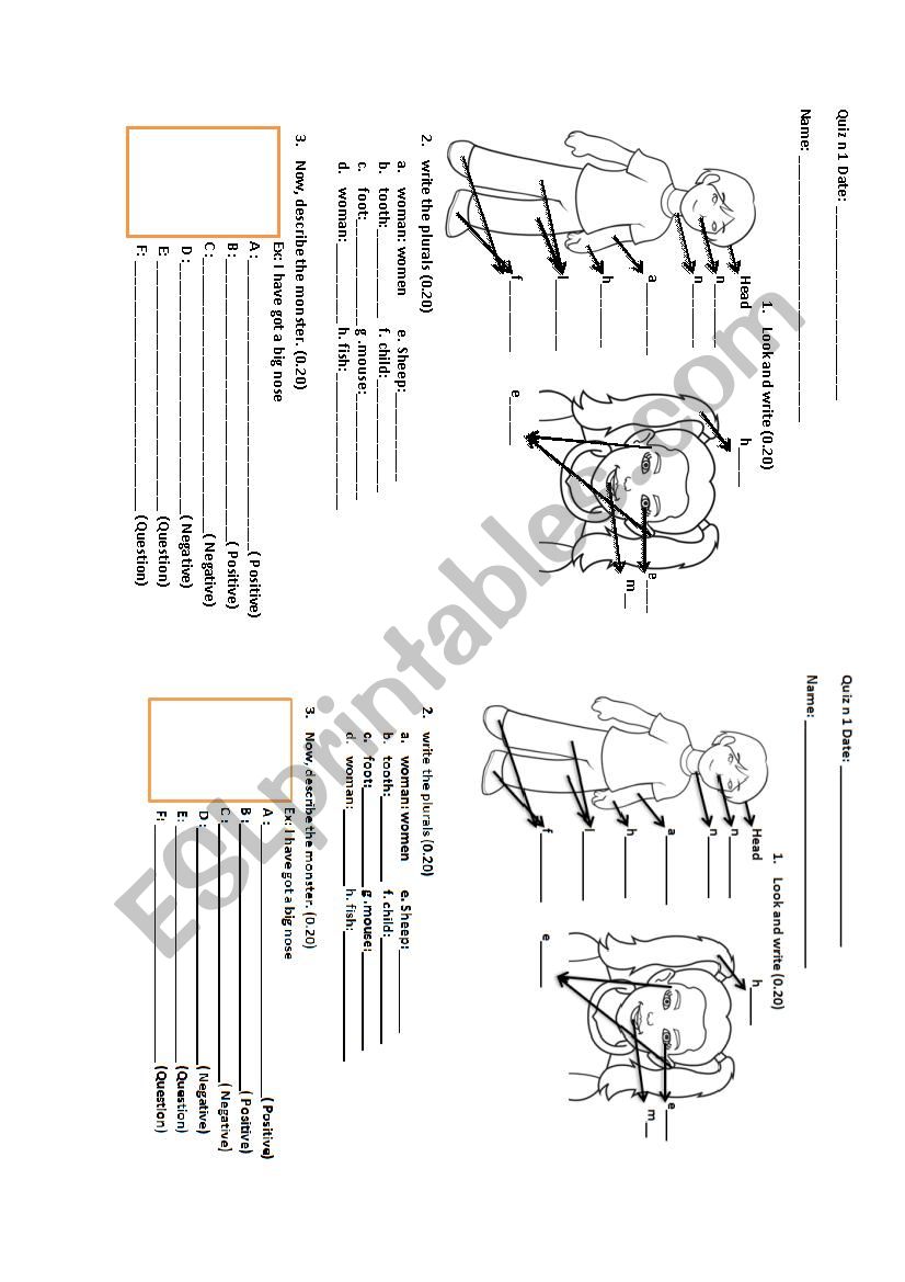 Parts of the body,pluras,have got exercise