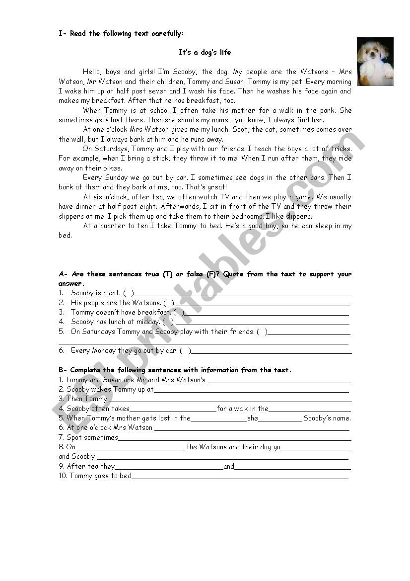 Daily routine worksheet