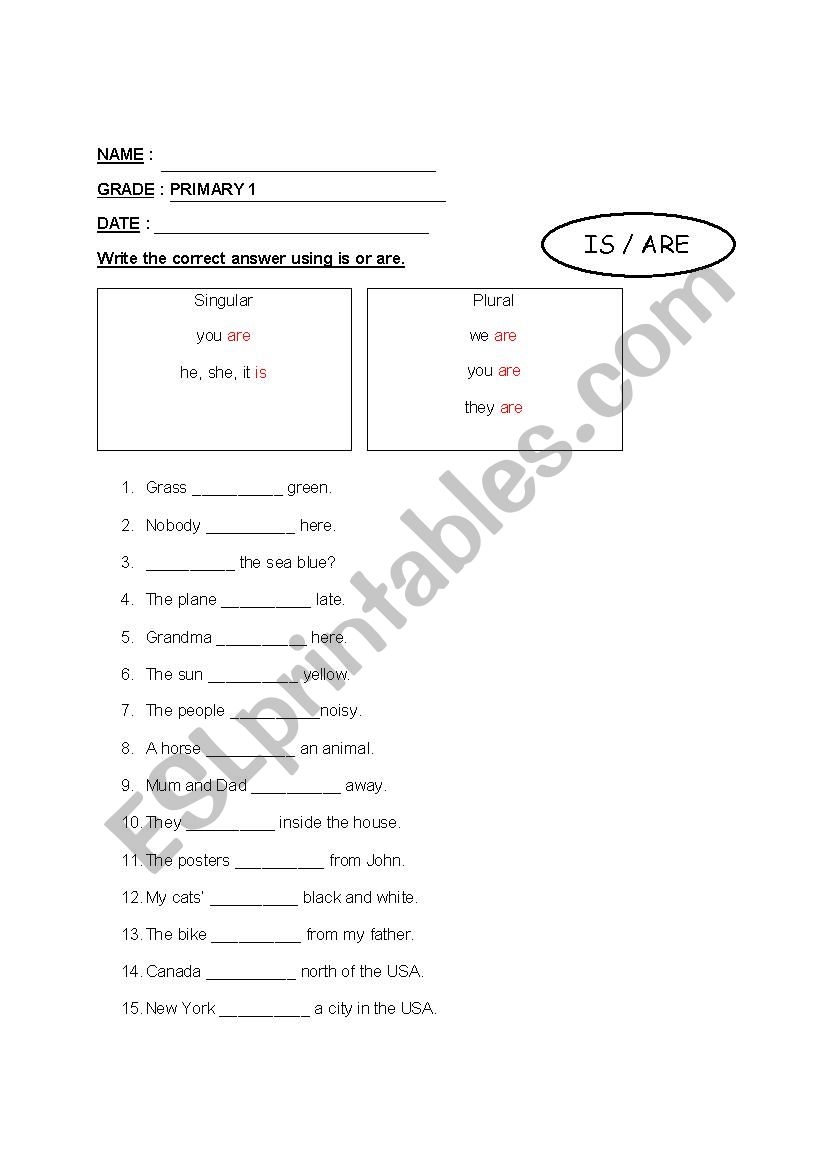 Grammar PRIMARY 1 worksheet