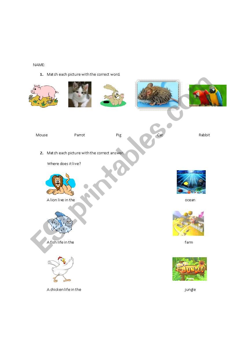 Animals worksheet