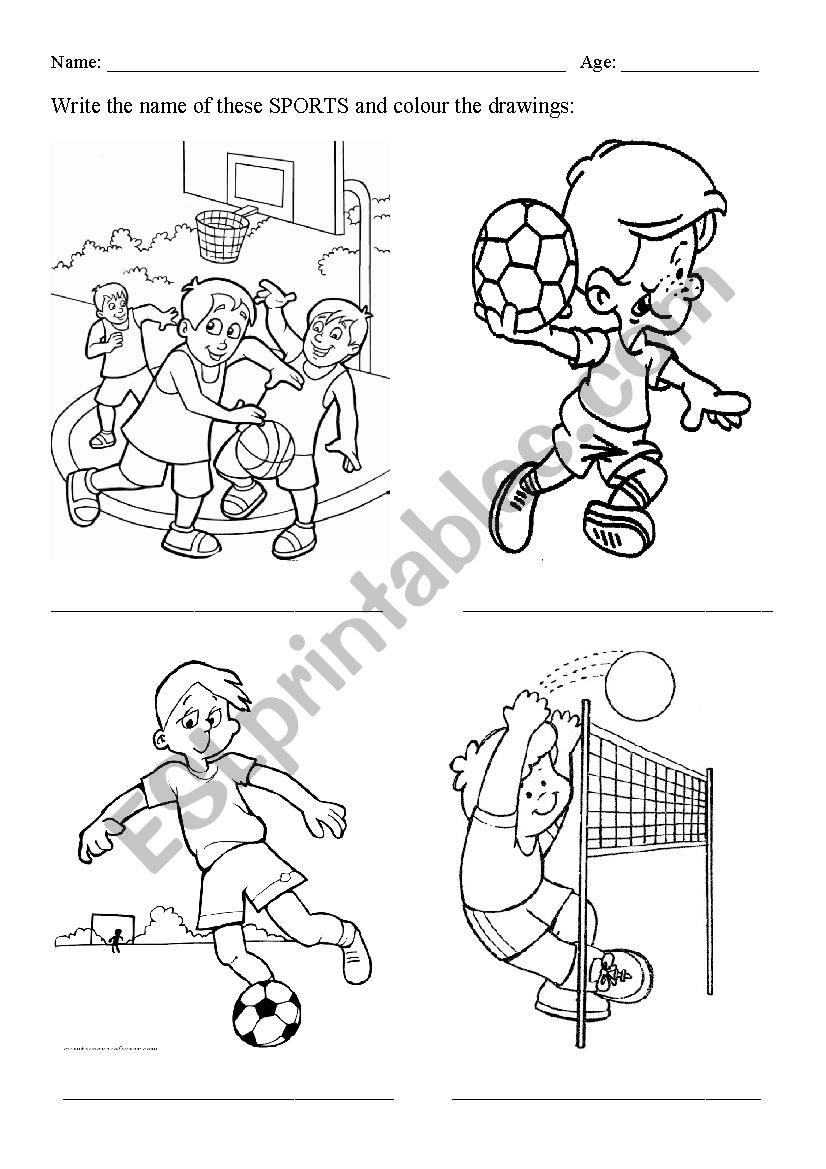 Sports worksheet