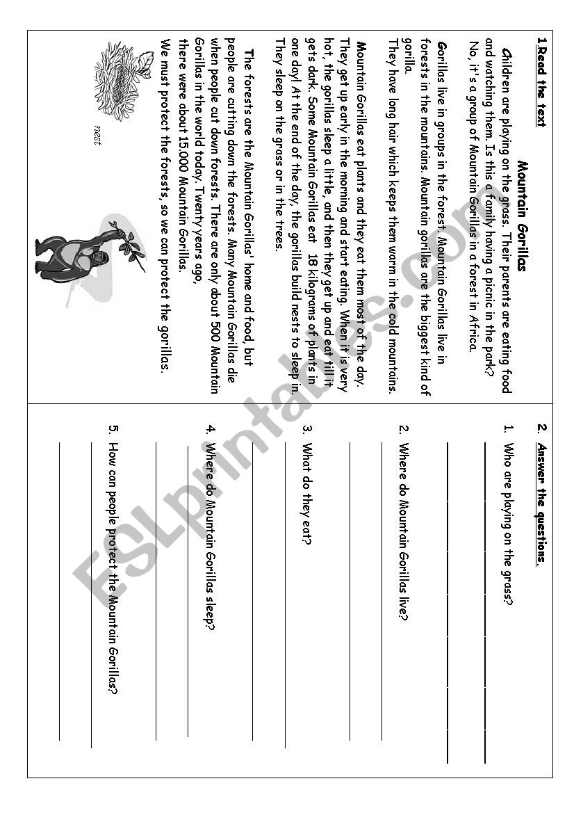 Revision Present Simple worksheet