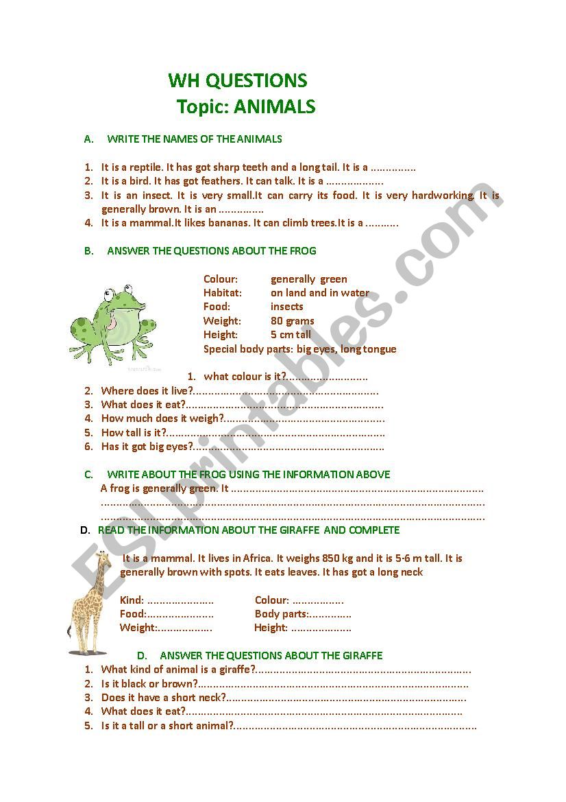 wh questions worksheet