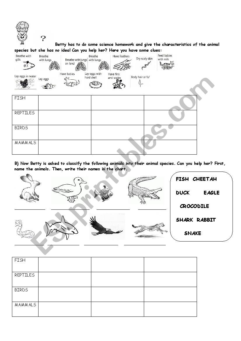 Animal Species - ESL worksheet by amayania2014