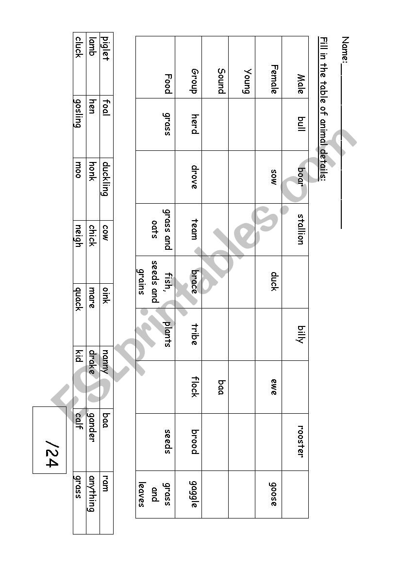Animals worksheet worksheet