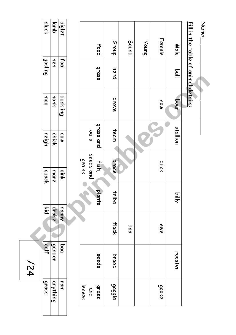 Animals worksheet worksheet