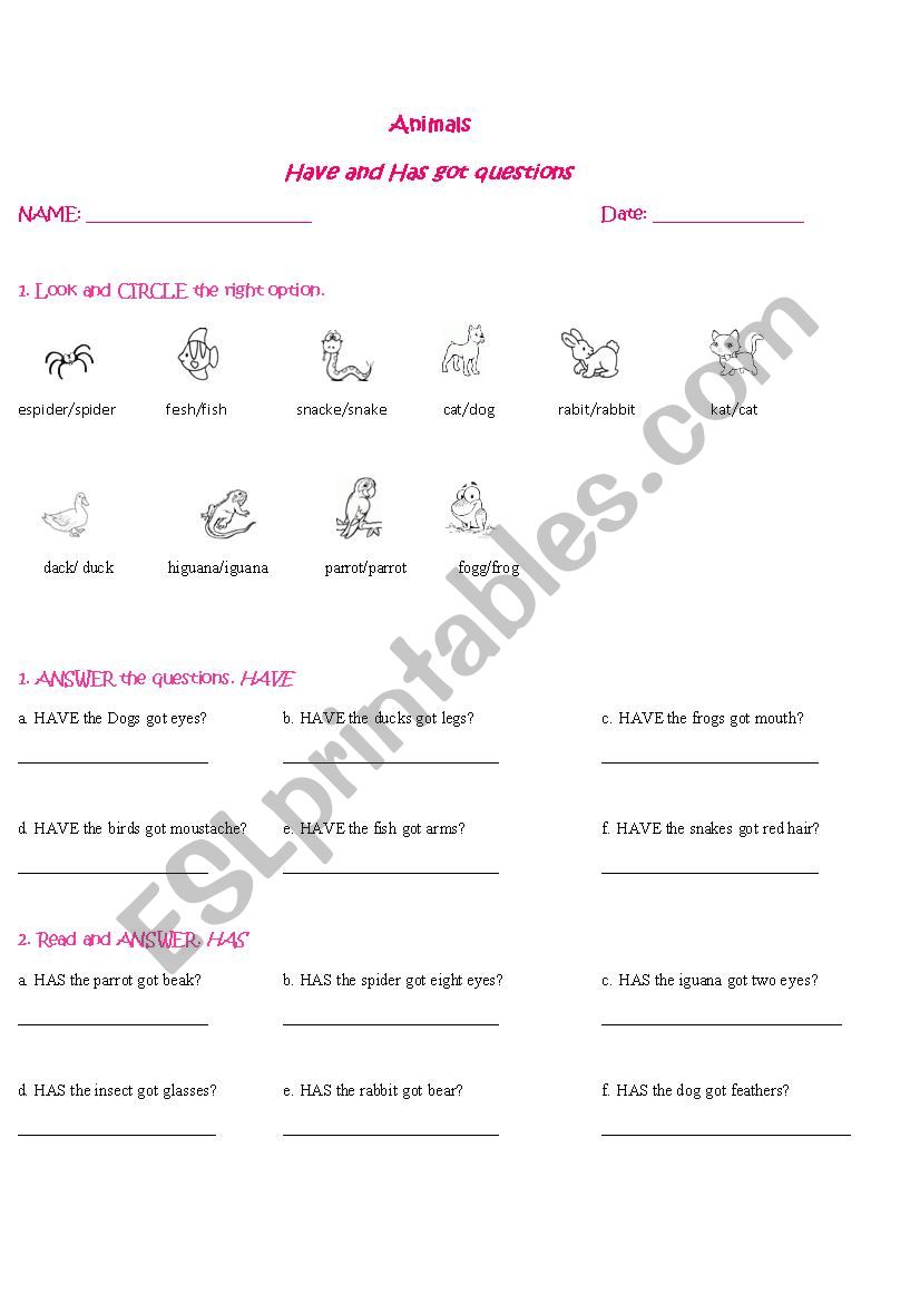 Animals and has/have got worksheet
