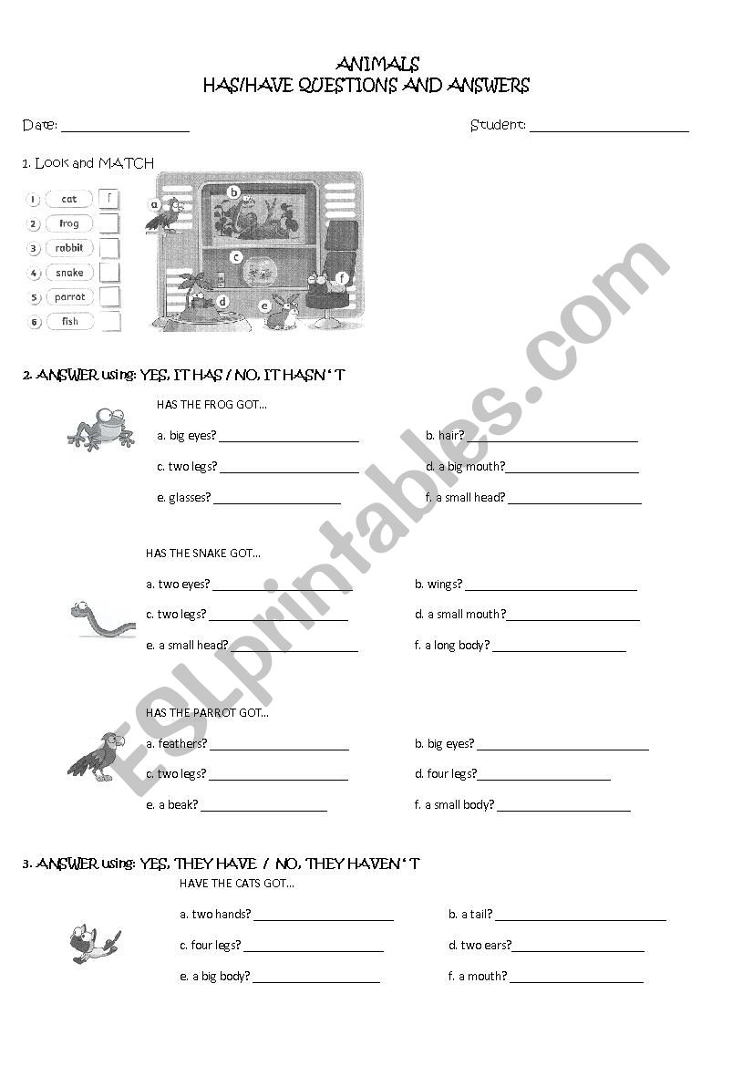Animals and has/have got 2 worksheet