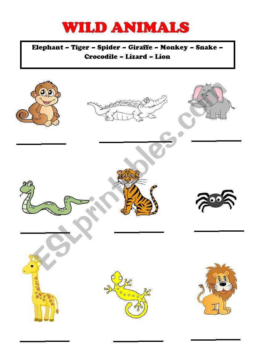 Wild Animals worksheet