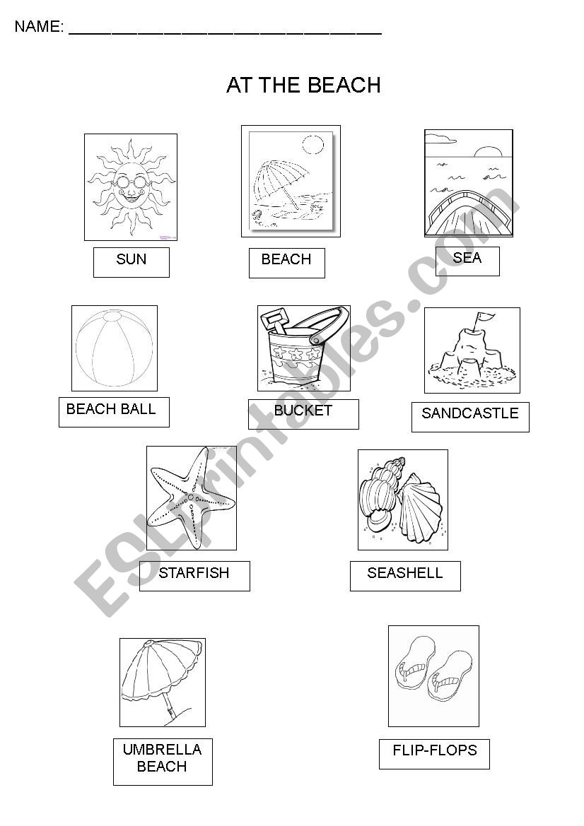 Beach Vocabulary worksheet
