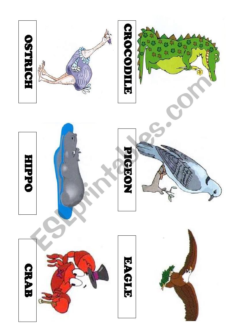 ANIMALS FOR KIDS worksheet