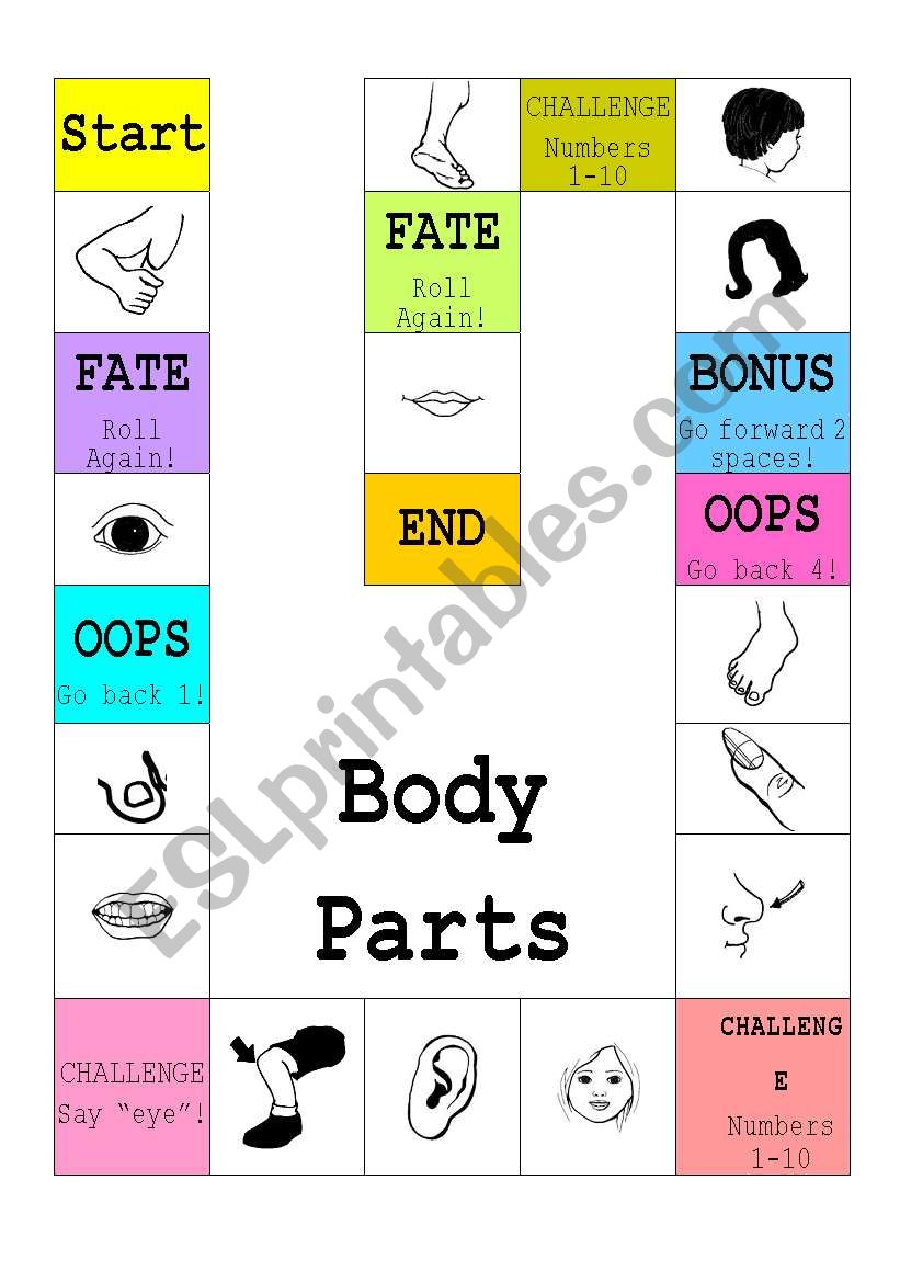 body parts worksheet