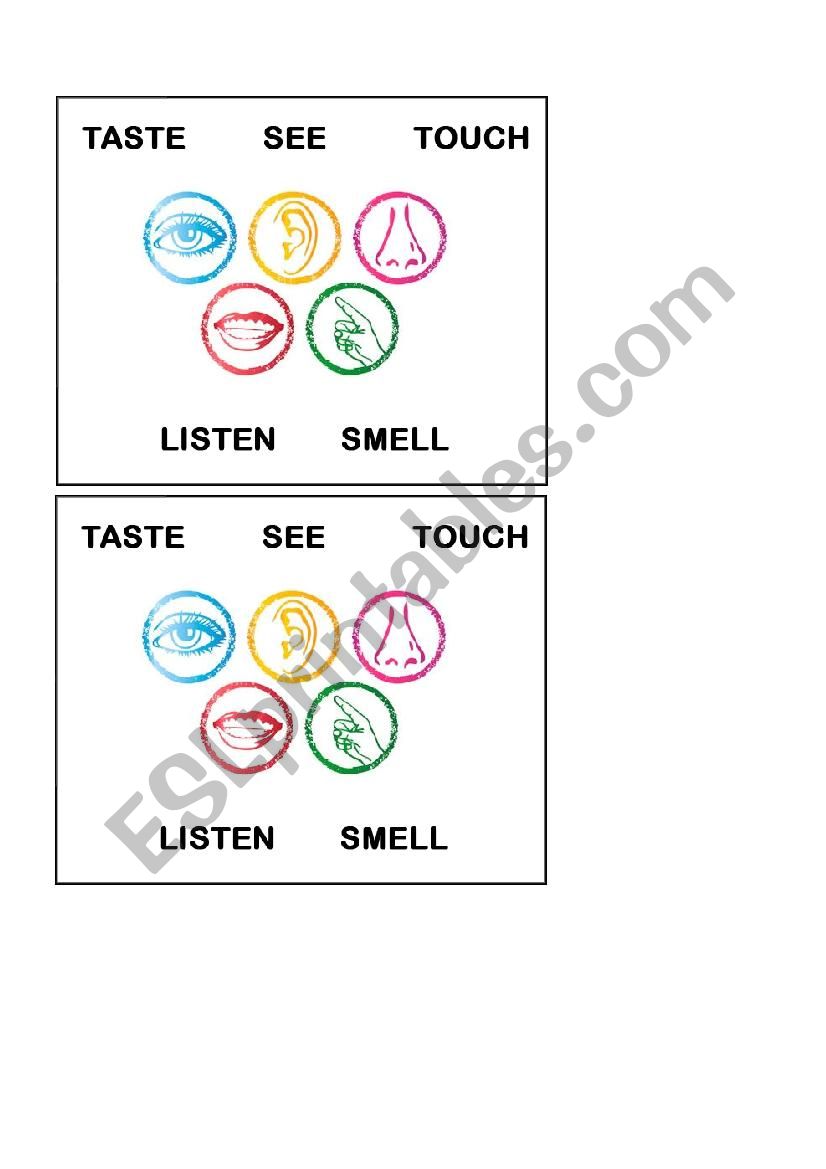 Body senses worksheet