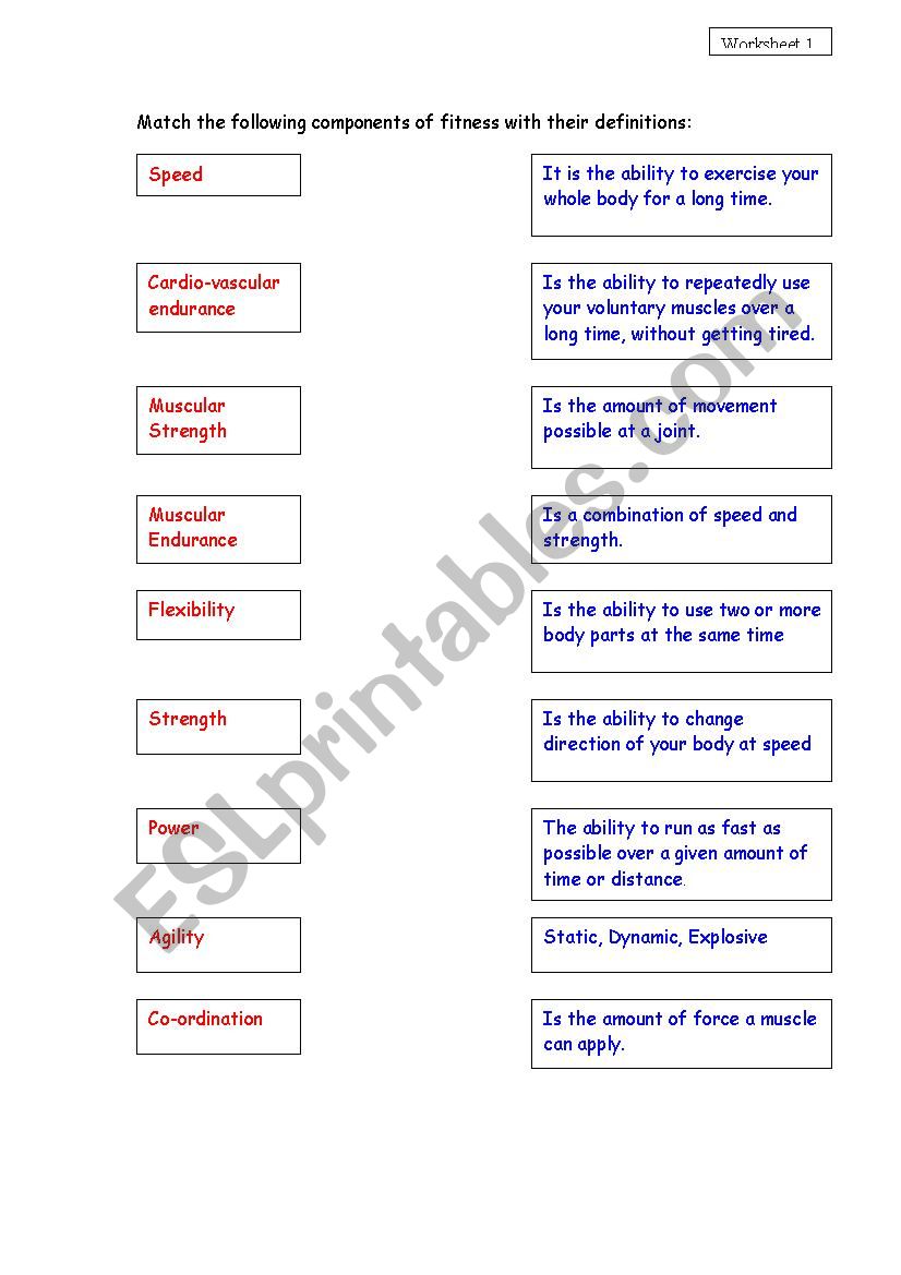 Components of fitness worksheet