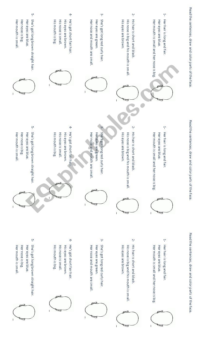 Hair Styles and Parts of the Face.