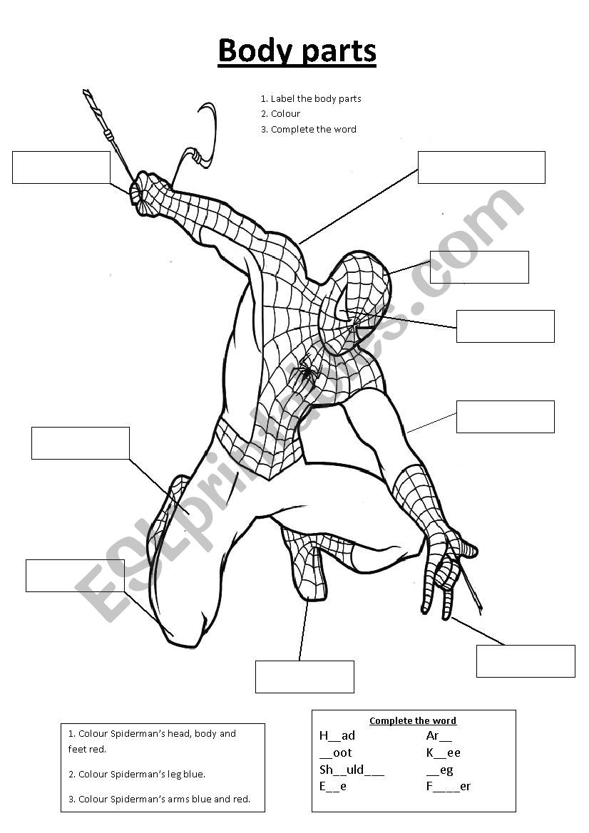 Spiderman body parts worksheet