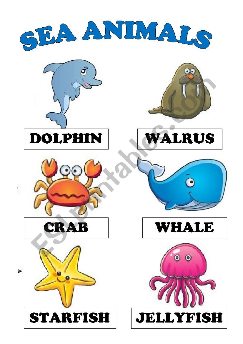 SEA ANIMALS worksheet