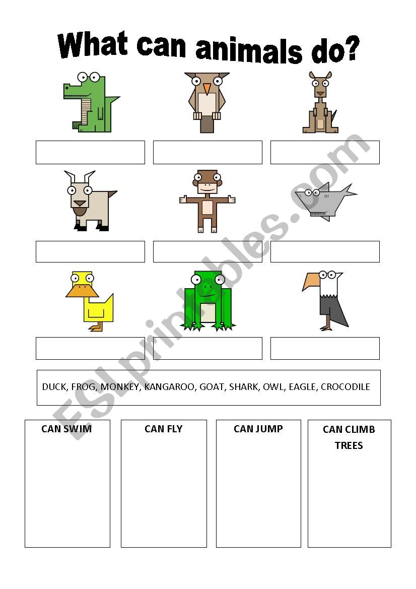 What can animals do worksheet