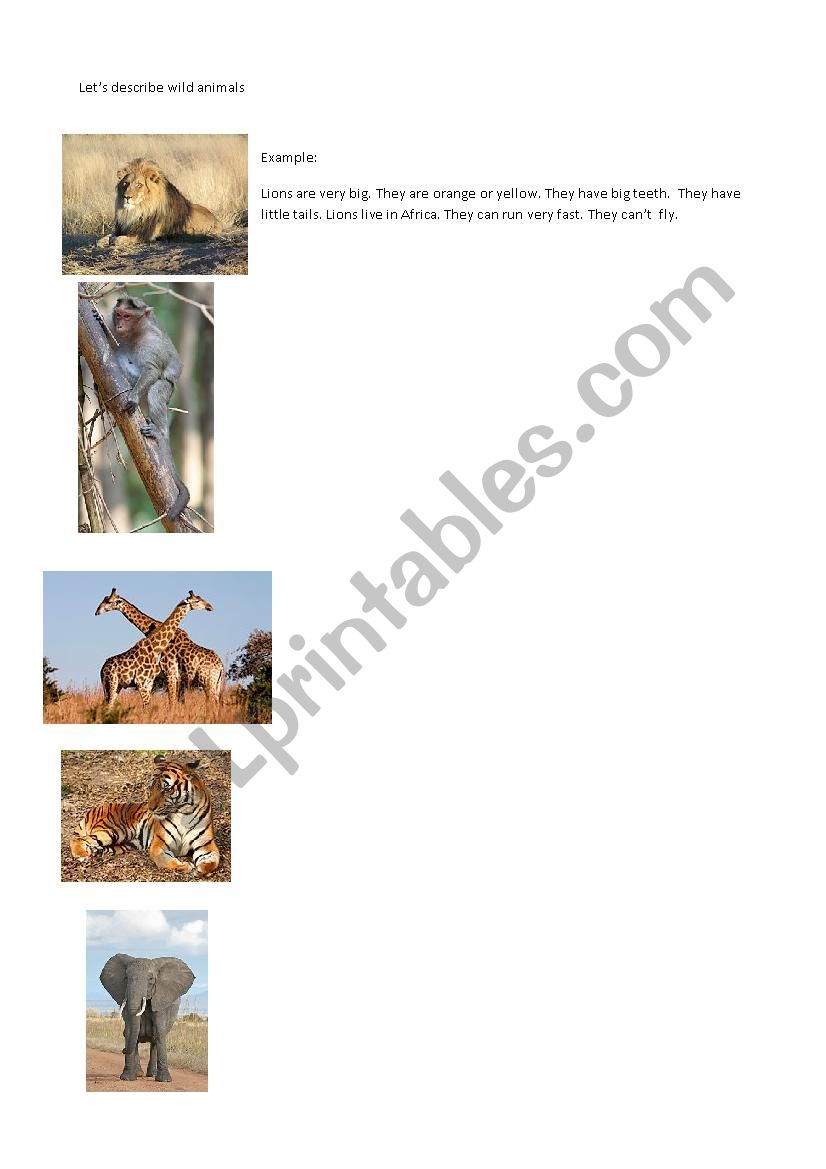 Wild animals  worksheet