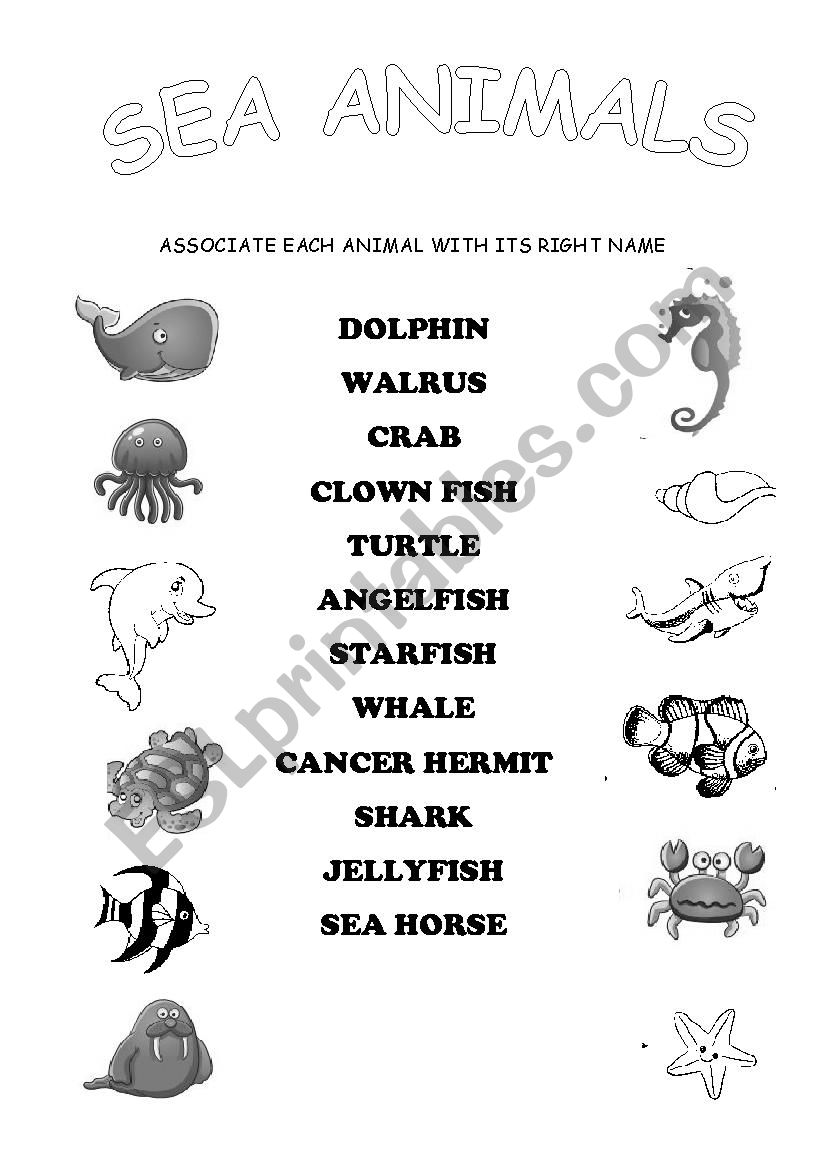 SEA ANIMALS worksheet worksheet