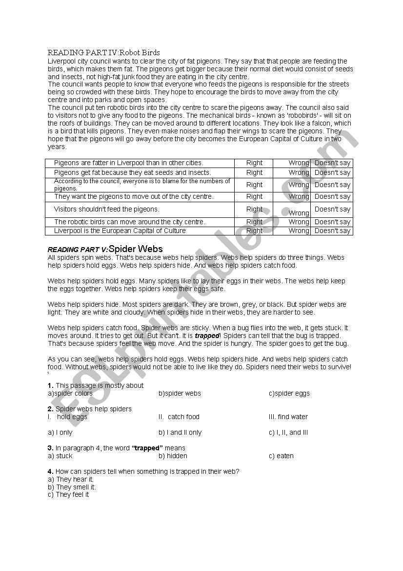 Robot Birds Spider Webs  worksheet